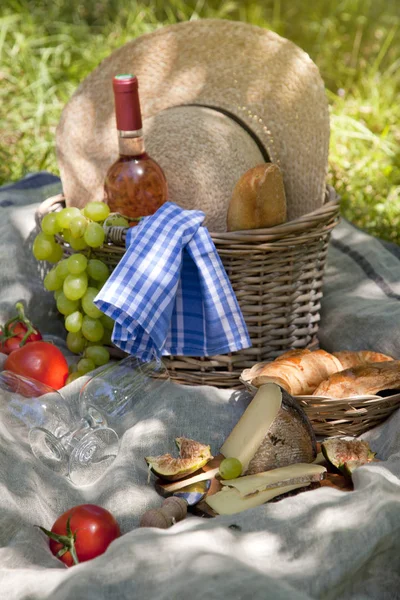 Piquenique Parque Grama Toalha Mesa Cesta Comida Saudável Vinho Rosa — Fotografia de Stock