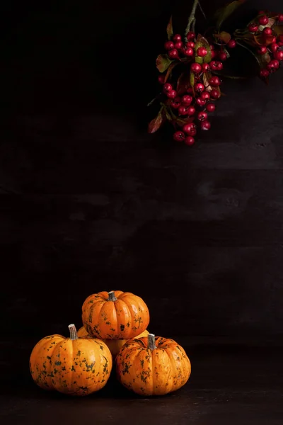 Vista Superior Sobre Las Calabazas Naranjas Sobre Fondo Madera Halloween — Foto de Stock