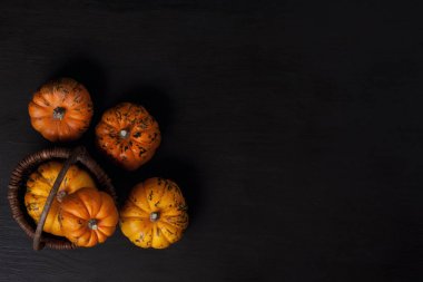 Ahşap arka plan üzerinde üstten görünüm üzerinde turuncu kabak. Cadılar Bayramı, Şükran günü ve sonbaharda hasat kavramı kopya alanı ile