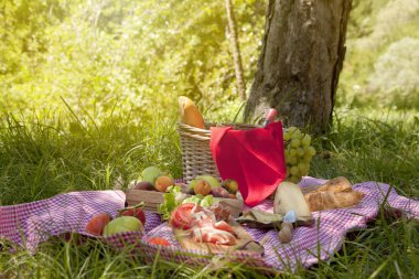 Çimenlerin üzerinde Parkta piknik: masa örtüsü, sepet, sağlıklı gıda, gül şarap ve aksesuarları