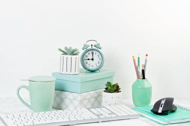 Ofis konsepti saksılarda ve ofis malzemelerinde çiçekler.