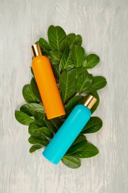 Yeşil yapraklar, bitkiler ve bir şişe kozmetik. Doğal scin bakım konsepti. Uzayı kopyala, maketle.