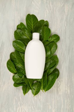 Yeşil yapraklar, bitkiler ve bir şişe kozmetik. Doğal scin bakım konsepti. Uzayı kopyala, maketle.