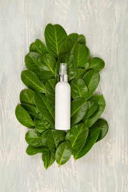 Yeşil yapraklar, bitkiler ve bir şişe kozmetik. Doğal scin bakım konsepti. Uzayı kopyala, maketle.