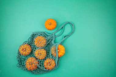 Üst görünüm sonbahar kompozisyonu. Turkuaz arka planda ağ alışveriş poşetinde kabaklar var.