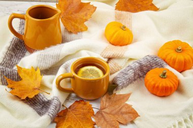 Sonbahar kompozisyonu sonbahar yaprakları, sıcak bir fincan çay ve sıcak yün atkı ya da ekoseli