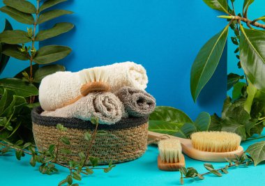 Arka planda taze yapraklar ve bitkiler ve sıfır atık yarasa