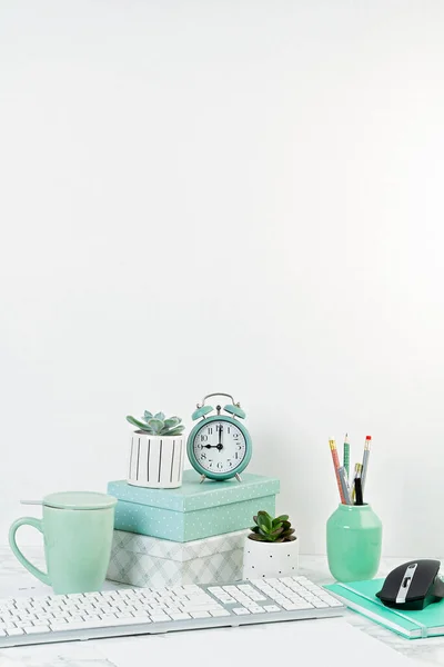 Home Office Concept Flowers Pots Office Supply — Stock Photo, Image