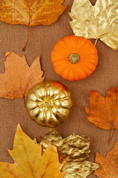 Composition plate de l'automne avec des feuilles et des citrouilles jaunes et dorées — Photo