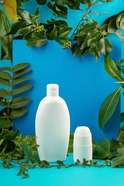 Background with green leaves and plants and bottle of cosmetic. Natural scin care concept. Copy space, mockup.