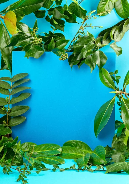 Fondo azul con hojas y plantas verdes y frescas . — Foto de Stock