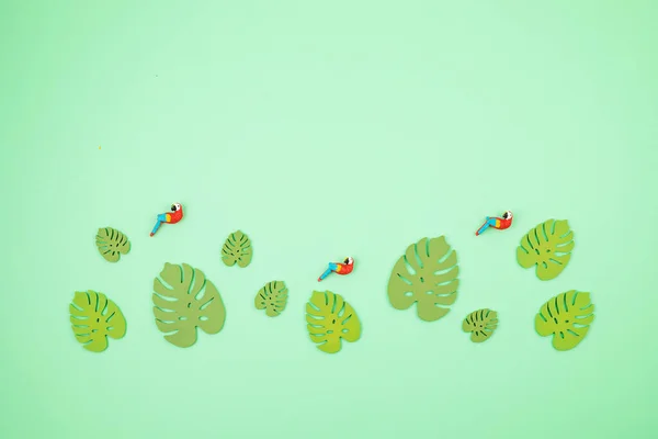 Horní Pohled Dekorativní Listy Tropické Zrůdy Miniaturní Papoušky Letní Prázdniny — Stock fotografie