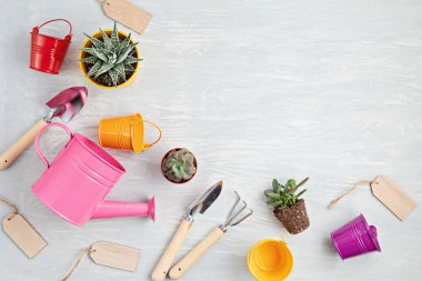 Ev bitkileri ve bahçe aletleri. Işıklı arka planda saksı bitkileri. Şık iç bahçe. Karantina süresince evde bahçe işleri, boş zaman aktiviteleri veya hobi