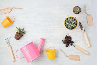 Ev bitkileri ve bahçe aletleri. Işıklı arka planda saksı bitkileri. Şık iç bahçe. Karantina süresince evde bahçe işleri, boş zaman aktiviteleri veya hobi