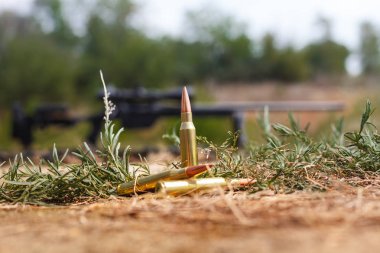 Kartuşları çimenlerin üzerinde