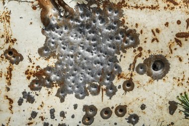 Paslı bir sac kurşun delikleri