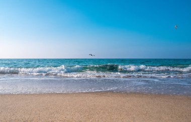 Deniz Burnu. Kumlu sahilde dalgalar akıyor. Deniz kıyısında ya da 