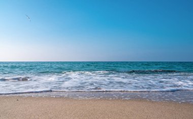 Deniz Burnu. Kumlu sahilde dalgalar akıyor. Deniz kıyısında ya da 