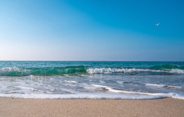 Deniz Burnu. Kumlu sahilde dalgalar akıyor. Deniz kıyısında ya da 