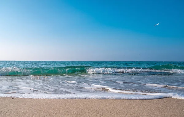 Deniz Burnu. Kumlu sahilde dalgalar akıyor. Deniz kıyısında ya da 