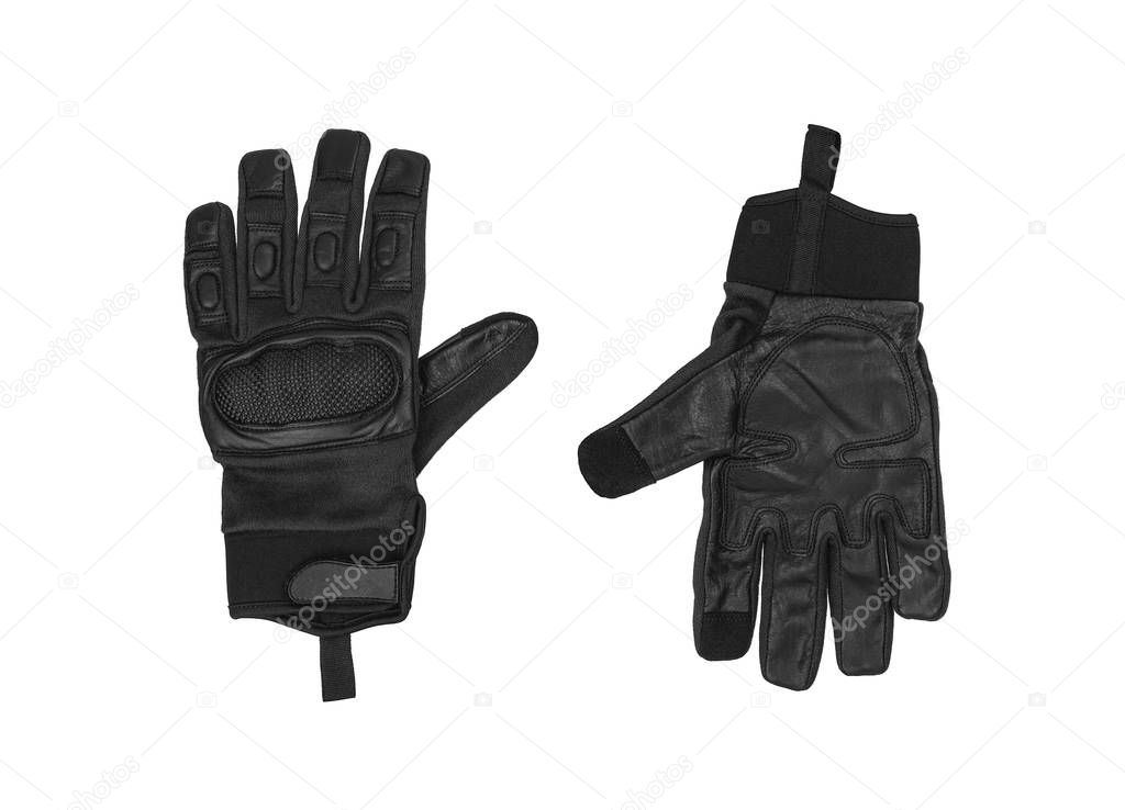 Military gloves, tactical gloves, protective gloves isolated whi