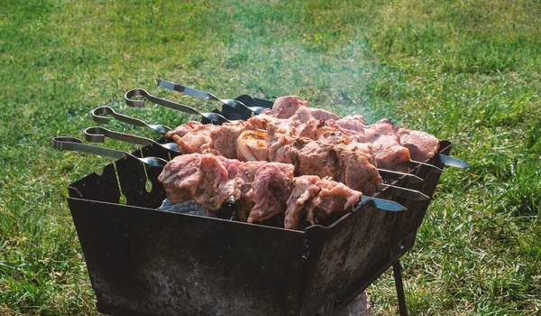 Churrasco Cru Grelha Preparação Carne Natureza Churrasco Fundo Grama Verde — Fotografia de Stock