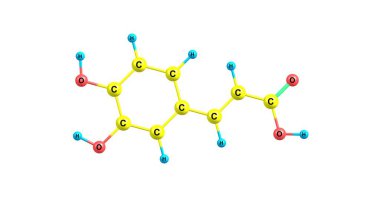 Caffeic asit moleküler yapısı üzerinde beyaz izole