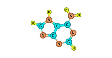 Adenin moleküler yapısı üzerinde beyaz izole