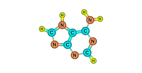 흰색 절연 아데닌 분자 구조 — 스톡 사진