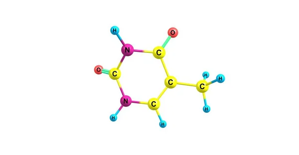 Molekulare Struktur von Thymin isoliert auf Weiß — Stockfoto
