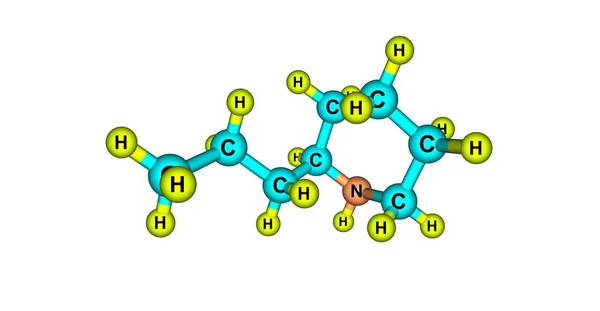 Coniine molekylär struktur isolerad på vit — Stockfoto