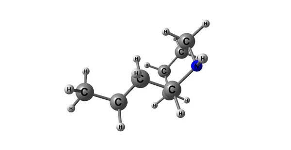 Coniine struktury molekularnej na białym tle — Zdjęcie stockowe