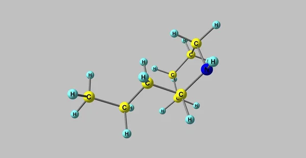Coniine molecuulstructuur geïsoleerd op grijs — Stockfoto