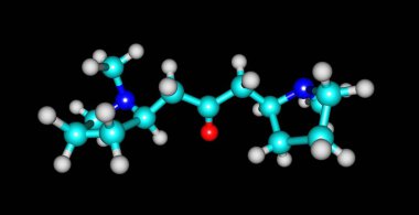 Siyah izole Cuscohygrine moleküler yapısı