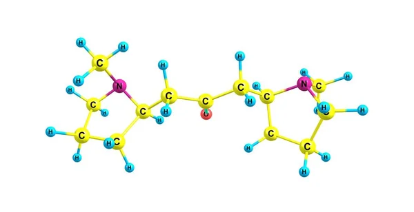 Cuscohygrine 分子结构上白色孤立 — 图库照片