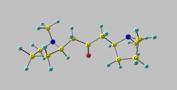 Structure moléculaire du cuscohygrine isolée sur gris — Photo