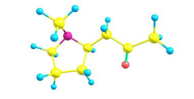 Hygrine moleküler yapısı üzerinde beyaz izole