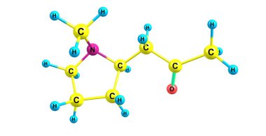 Hygrine moleküler yapısı üzerinde beyaz izole
