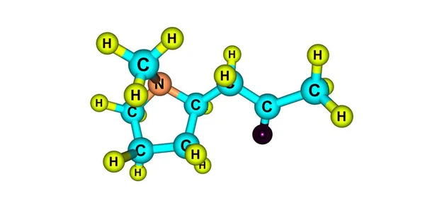 Hygrine 分子结构上白色孤立 — 图库照片