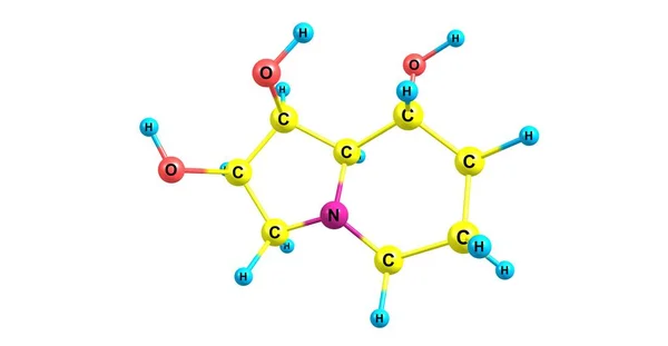 Swainsonine 분자 구조 흰색 절연 — 스톡 사진