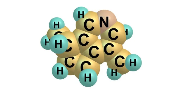 白で隔離 Actinidine 分子構造 — ストック写真