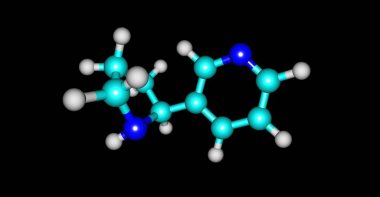 Siyah izole nornicotine moleküler yapısı