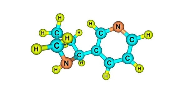 Estructura molecular de nornicotina aislada en blanco — Foto de Stock