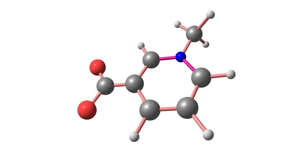 Trigonellin molekylstruktur isolerad på vit — Stockfoto
