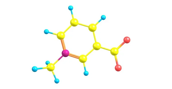 Estructura molecular de la trigonelina aislada en blanco — Foto de Stock