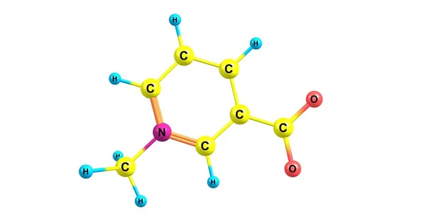 Estructura molecular de la trigonelina aislada en blanco —  Fotos de Stock