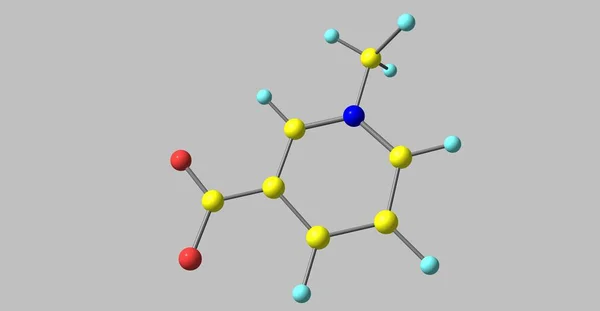 Trigonellin molekulare Struktur isoliert auf grau — Stockfoto
