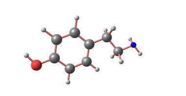 İngilizce moleküler yapısı üzerinde beyaz izole