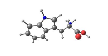 Triptofan moleküler yapısı üzerinde beyaz izole