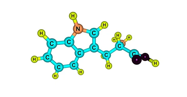 Moleculaire structuur tryptofaan geïsoleerd op wit — Stockfoto